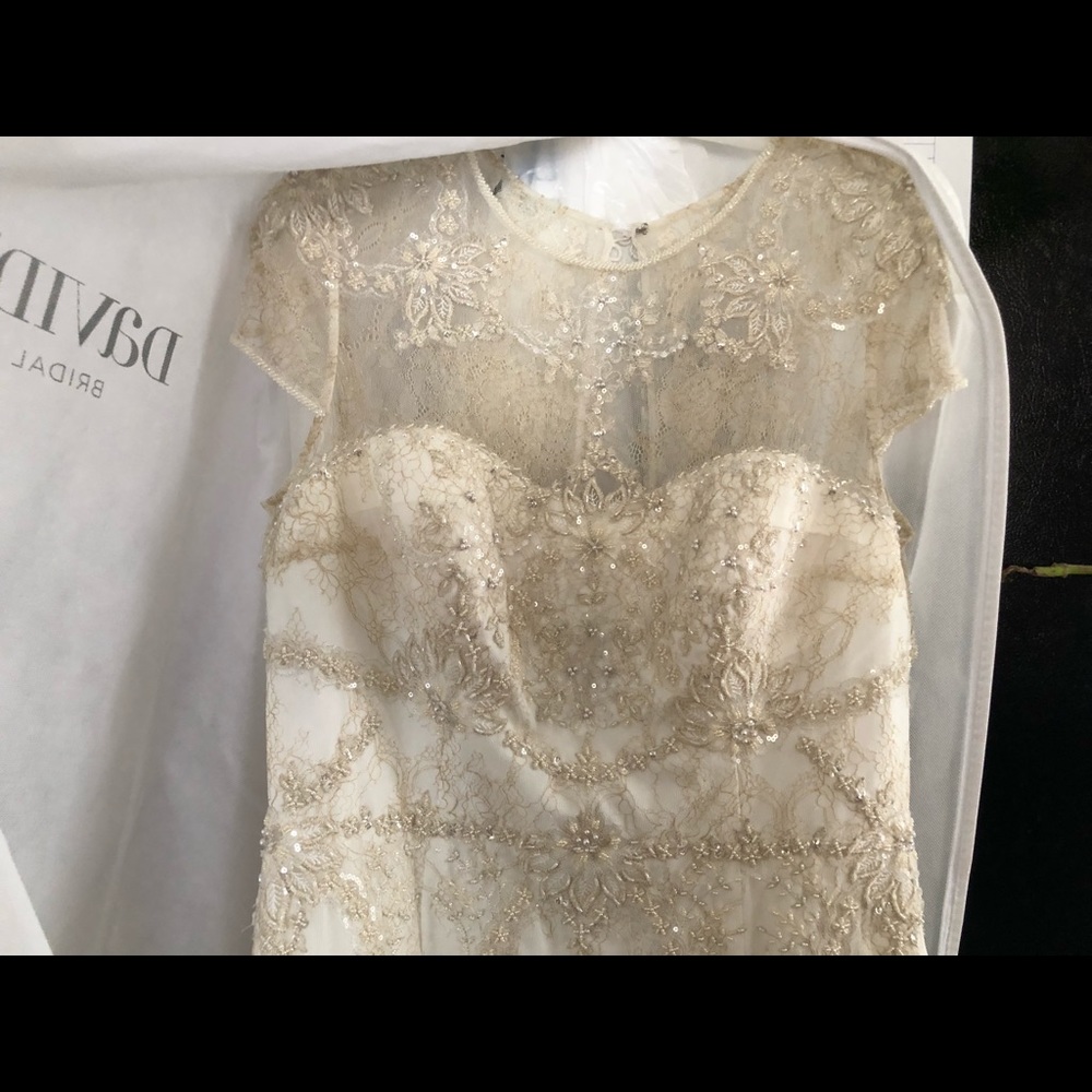 NWT never worn wedding dress from David’s bridal